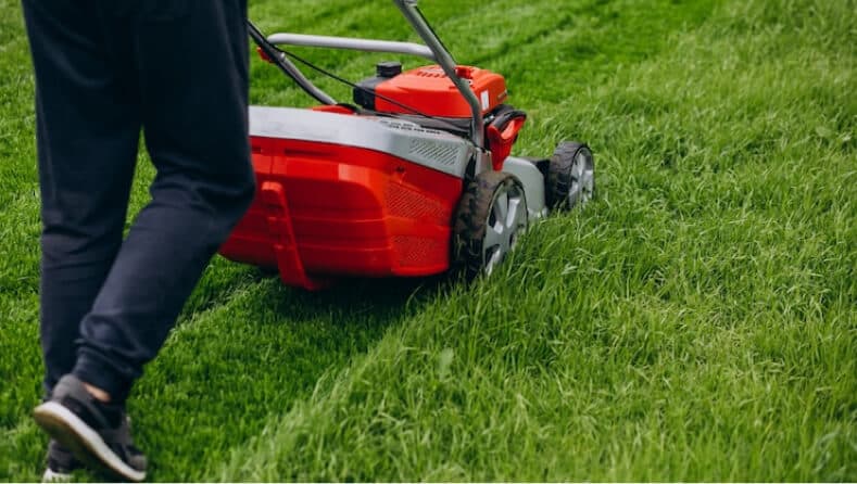 Lawn Development & Maintenance